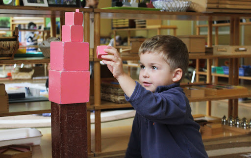 Living Montessori Education Community