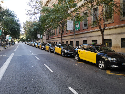 Parada Taxi