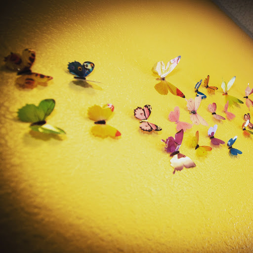 Little Butterflies- A Sensory Play-Based Preschool