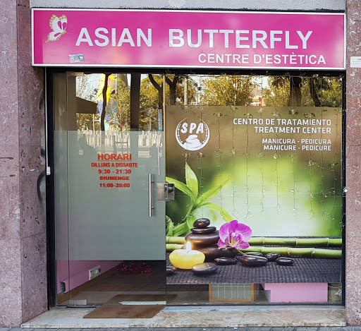 Asian Butterfly