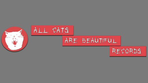 All Cats Are Beautiful Records