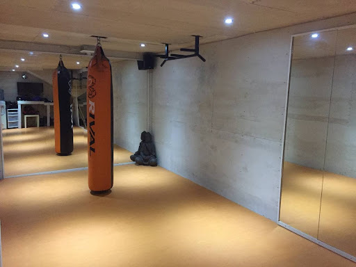 Muay Thai and Boxing Private Lessons