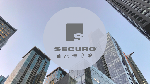 Securo Group Inc.