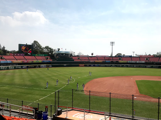 臺南市立棒球場