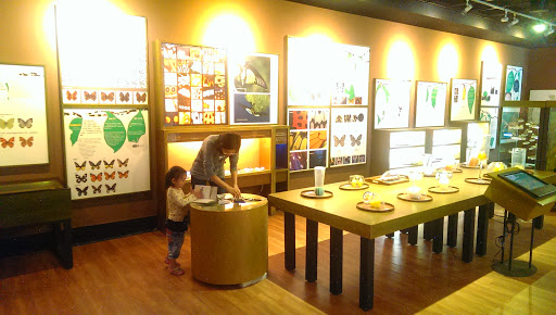 台南市兒童科學館