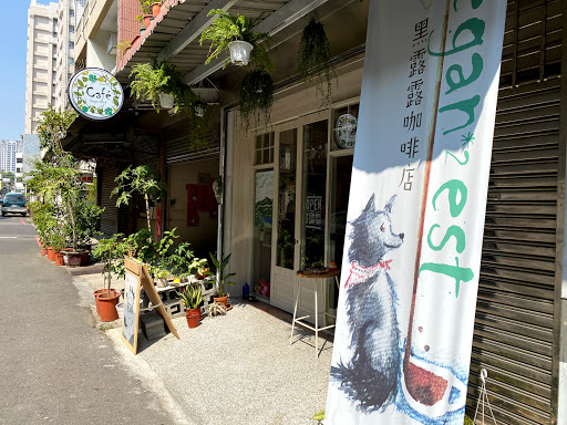 黑露露純植咖啡店Vegan-Nest Café（⏸️請看FB)