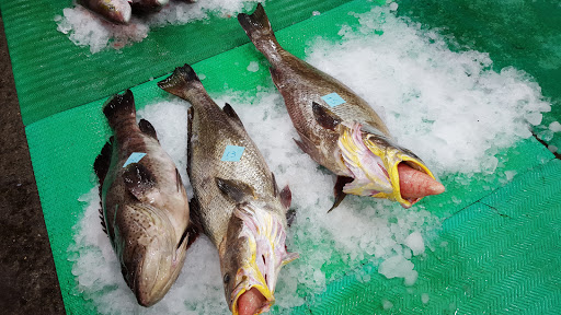 南市區漁會魚市場