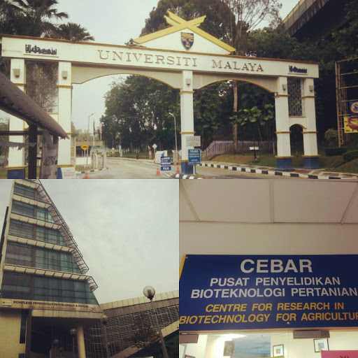 Centre for Research in Biotechnology for Agriculture (CEBAR)