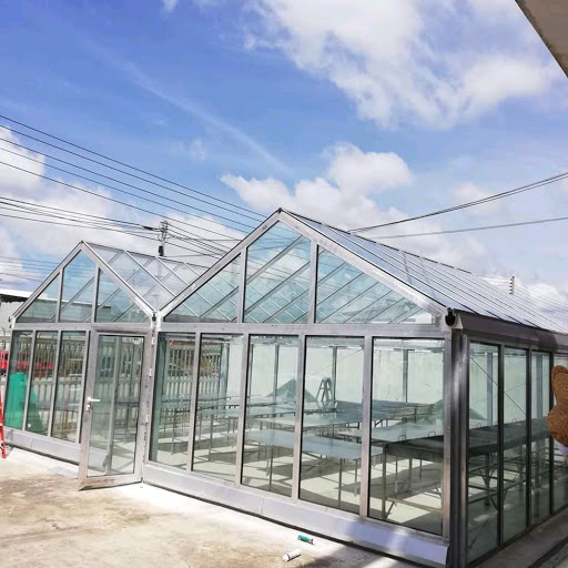 Greenhouse Solar Dryer - Effective Drying Solution
