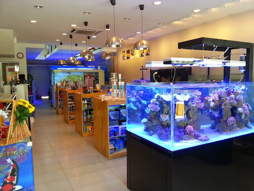 Reef Altech Aquarium