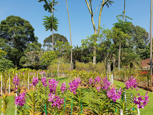 Orchid & Hibiscus Gardens