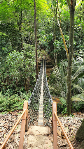 Suspension Bridge, Hutan Pendidikan Bukit Gasing