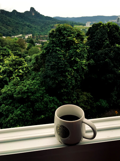 Coffee By The Window