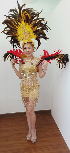 Authentic Butterfly Costume