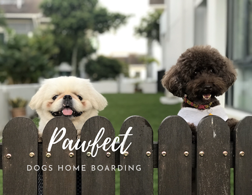 Pawfect Dogs Home Boarding (Kajang/Jade Hills/ Sg Chua/ Semenyih)