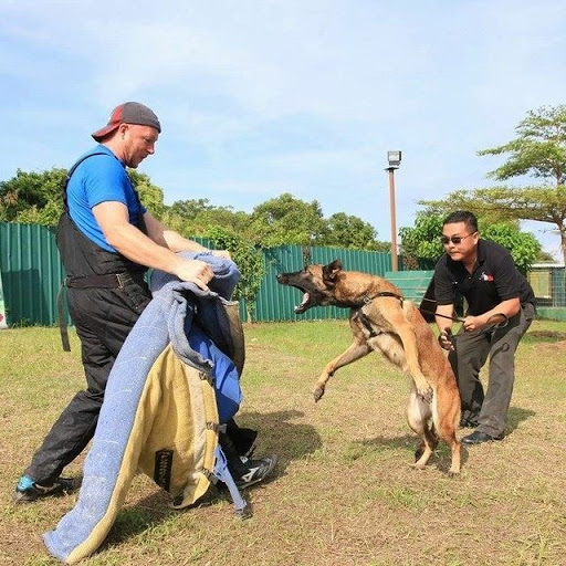 E-K9 Dog Training Academy