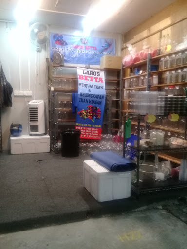 Laros Betta (Fish Shop)