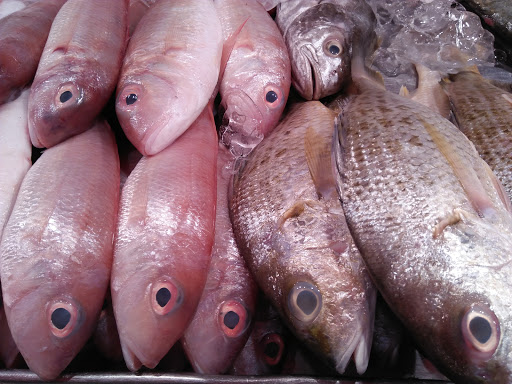 Azmi Ikan Fresh