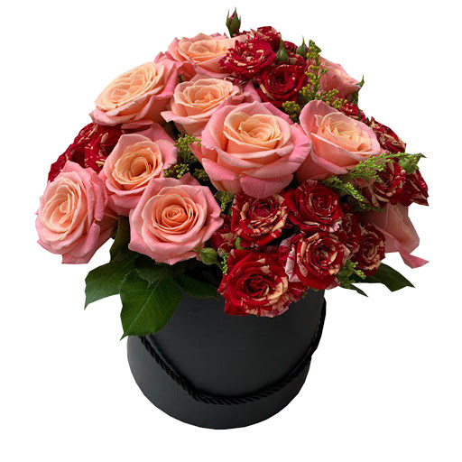 HEVA Gifts | Best Online Flower and Gifts Delivery
