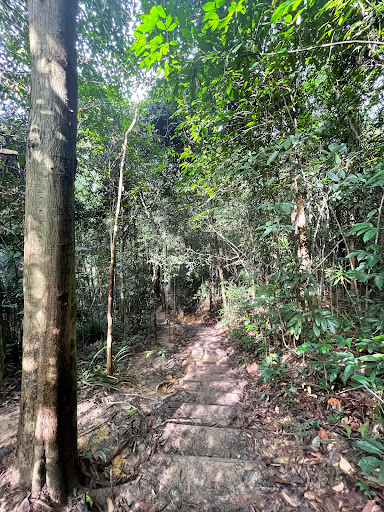 Bukit Gasing Trail