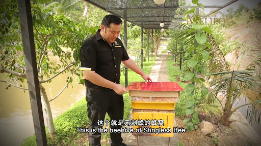 🐝 Malaysia Organic Honey Producer - Melipoly Enterprise Sdn Bhd (Petaling Jaya) HQ