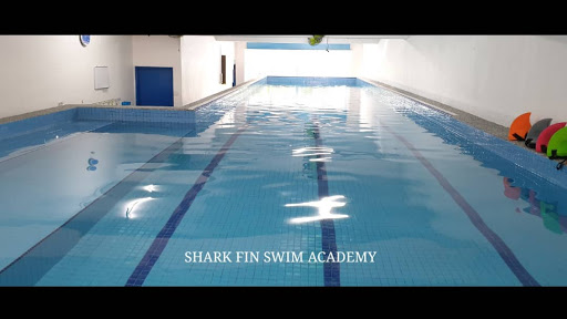 Shark Fin Swim Academy