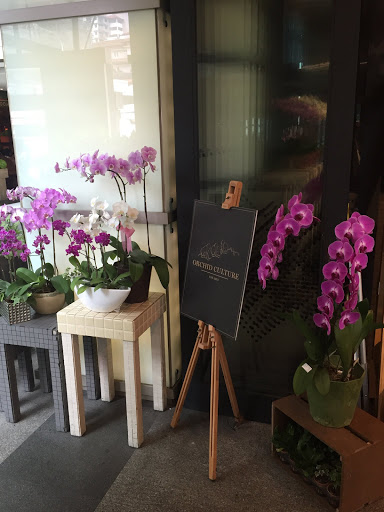 Orchid Culture