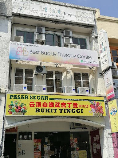 Best Buddy Therapy Centre