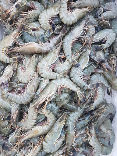 Bilah Seafood (Menjual Ikan Segar)