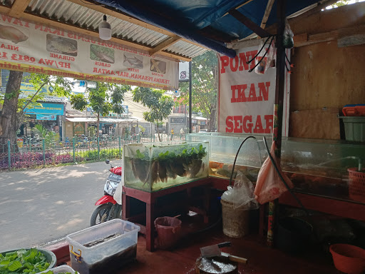 Jual ikan tawar konsumsi Jakarta Pusat