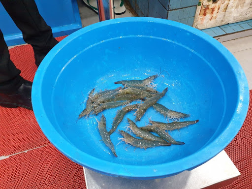 Pulau Sentosa Seafood Market Alsut