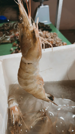 Ngemplok Seafood