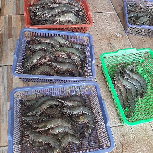 Jakarta Bay Seafood