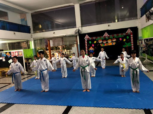 Wei Taekwon-Do Academy