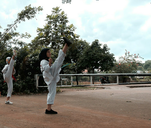 Taekwondo Pesanggrahan