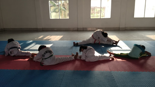 FRG Taekwondo