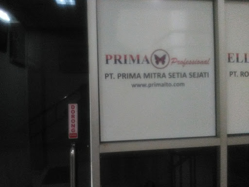 Prima Professional