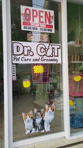 Dr. Cat Animal Care