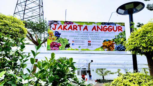 Jakarta Anggur