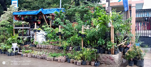 Toko Tanaman " Plant Sale "