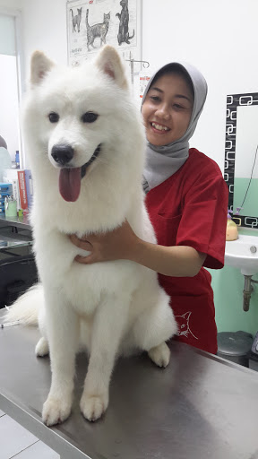 Jakarta Pet Care Center