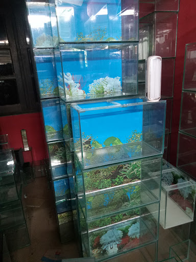 Fauzi Aquarium meruya