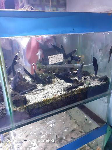 Permata Aquarium 1