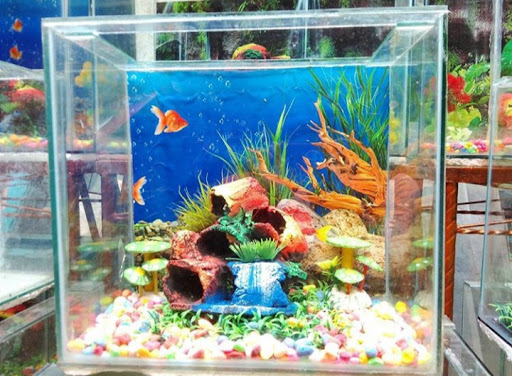 Obet Aquarium