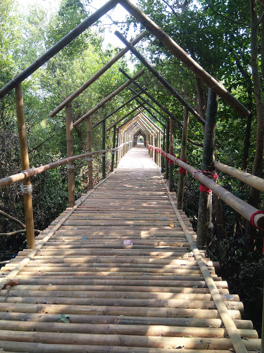 Kawasan Arboretum Mangrove
