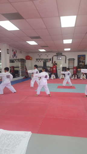 Little Tiger's Tang Soo DO Clg