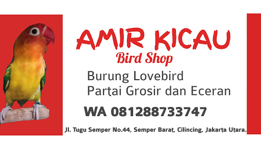 Kios Burung Amir Kicau