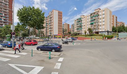 Mercedes Falcó Teruel