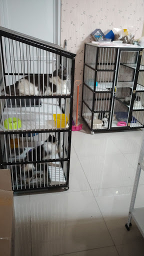 Pet Lover Shop Jakarta