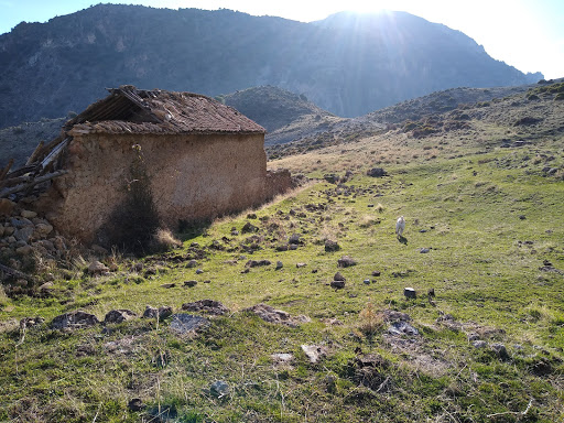 Cortijo de La Solana (Ruinas)
